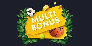 Aviamasters 100% Bonus of Accumulator
